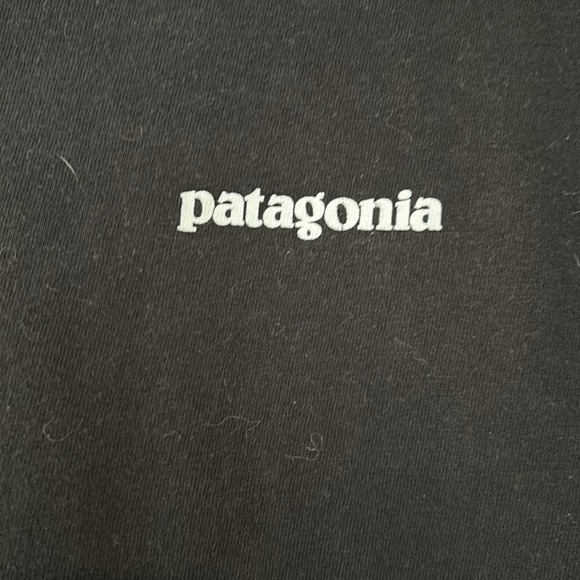 Patagonia long sleeve t - Picture 2 of 5